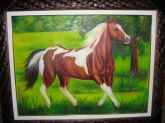 Quadro-Cavalo 60x80